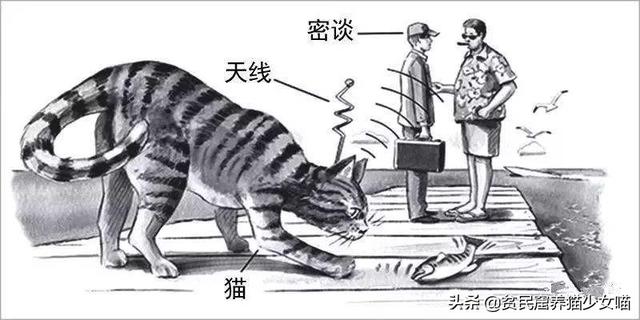 日军与德军哪个更恶毒，日军怕德军吗（为啥战争中常常用狗做间谍）