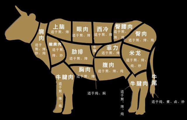 牛肉部位图片大全图解图片