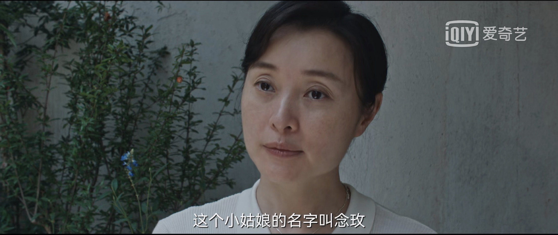 《八角亭谜雾》凶手是谁？真正的凶手原来是此人