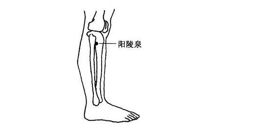 三阴交穴位位置，三阴交的位置在哪里（秘诀就在这4个穴位）
