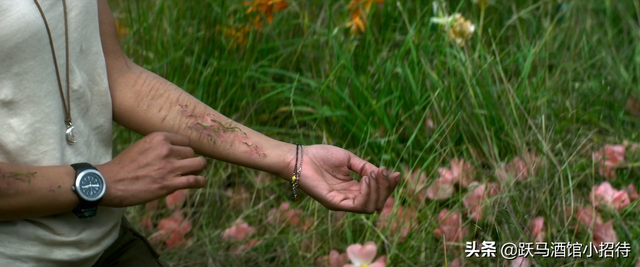湮灭电影解析，湮灭电影剧情深度解析（烧脑神作还是故作深沉的烂片）