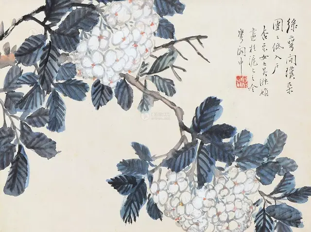 绣球怎么画，绣球怎么画的图片大全（这么难画的绣球花）