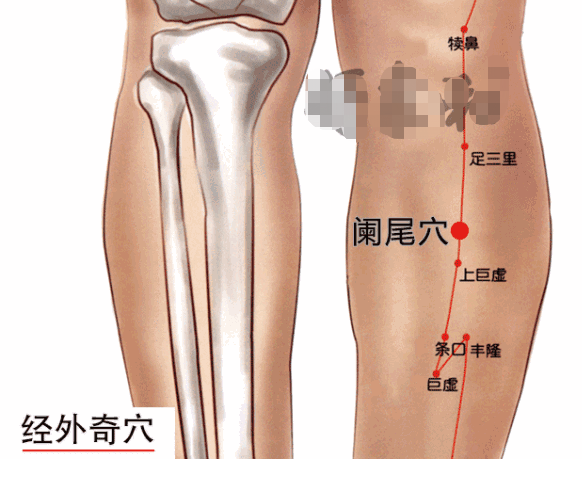 鱼腰的准确位置和作用，个个都是穴位学中的高手