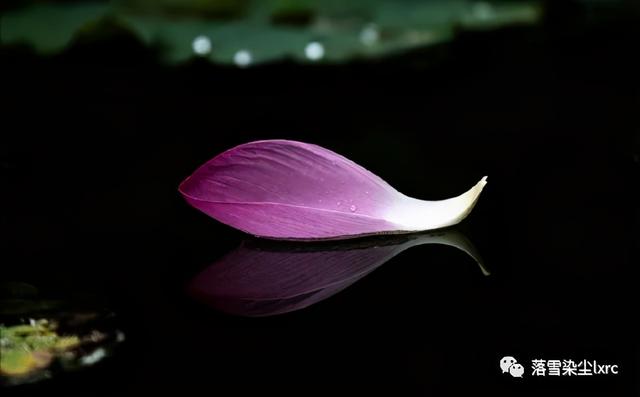 复古文艺小清新图片  浮生若梦 为欢几何，文艺复古小清新图片唯美（浮生若梦，为欢几何）