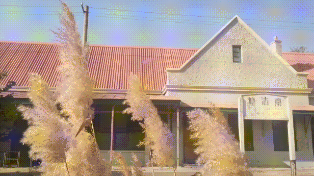 滨海北站在哪，高铁滨海北站在哪（中国最老的火车站滨海新区塘沽南站）