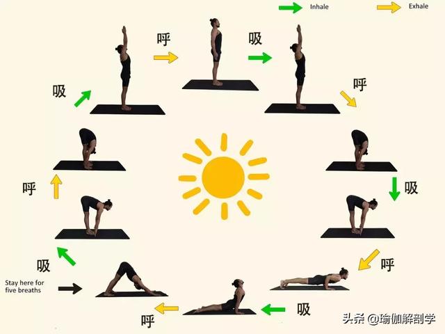 拜日式瑜伽的好处，拜日式瑜伽的好处总结（生活需要一点仪式感）