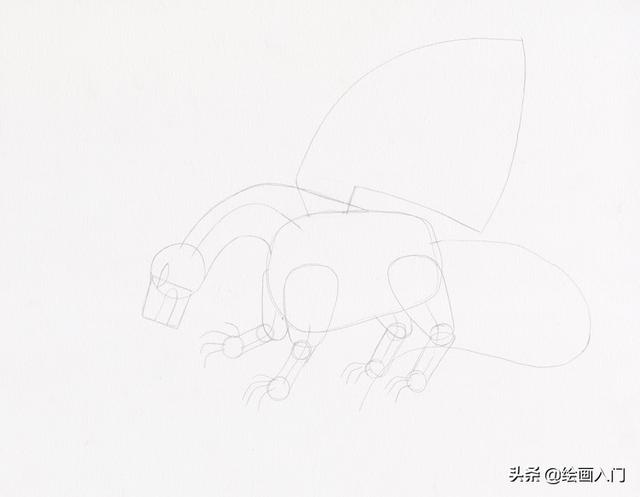 飞龙怎么画才霸气，飞龙怎么画霸气简笔画（来画一张飞龙的插画吧）