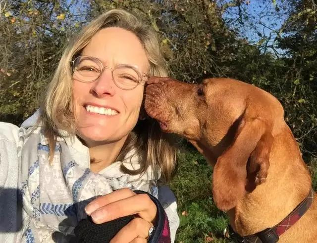 木糖醇的危害,木糖醇的功效与副作用(狗狗偷吃蛋糕后身亡) 木糖醇的危害,木糖醇的功效与副作用(狗狗偷吃蛋糕后身亡)