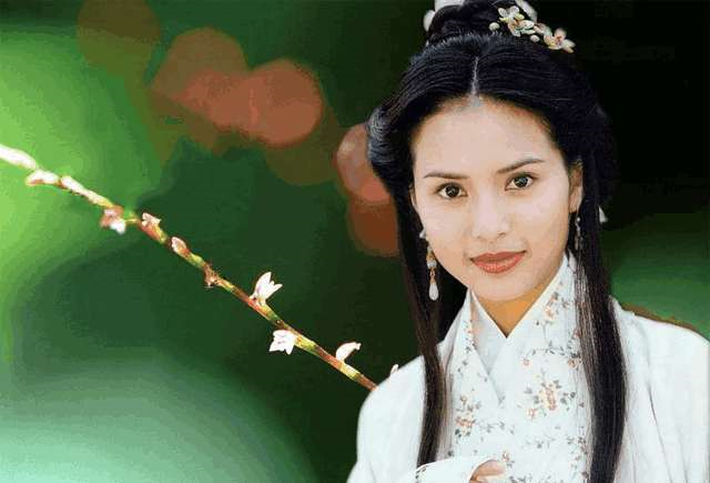 语嫣是啥意思，语嫣有什么含义（看《天龙八部》中的“诗意”美人名）