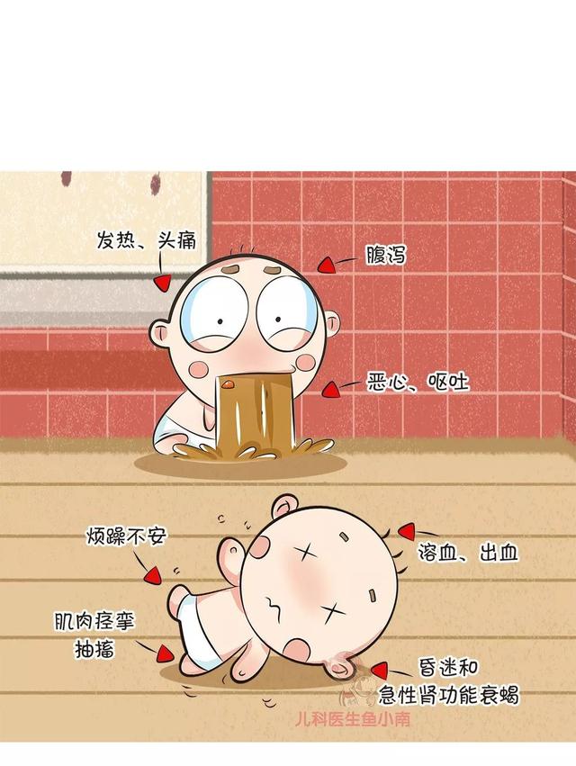 被蜂蜇了怎么办，蜂子蛰了怎样止痒（一文读懂蜂蛰伤）