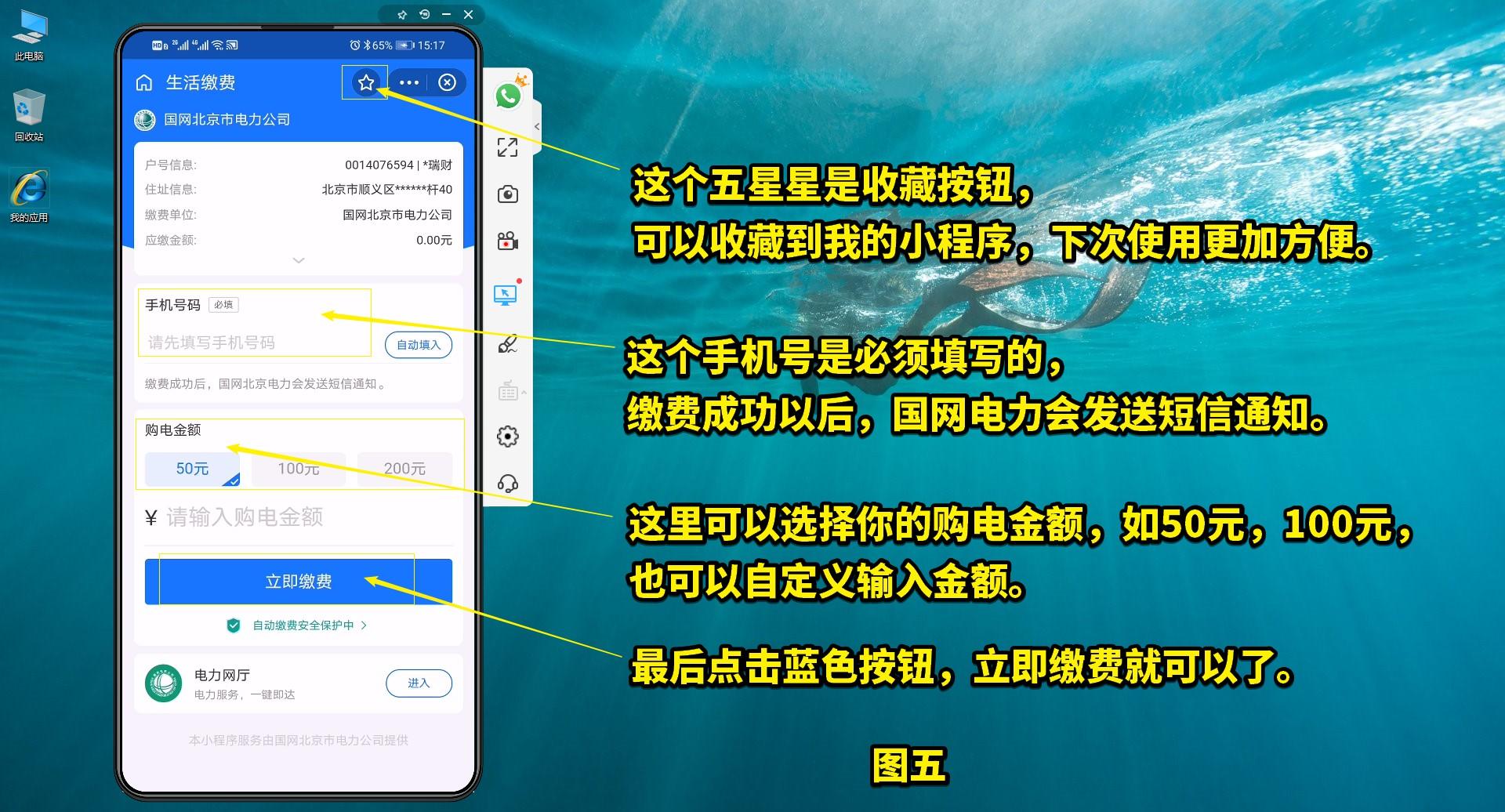 我要交电费(95598电费网上查询用户编号)