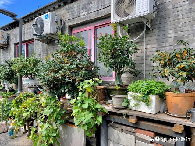 大栅栏有什么好玩的，大栅栏有什么好吃好玩的（来这些藏身胡同里的好去处一探究竟）