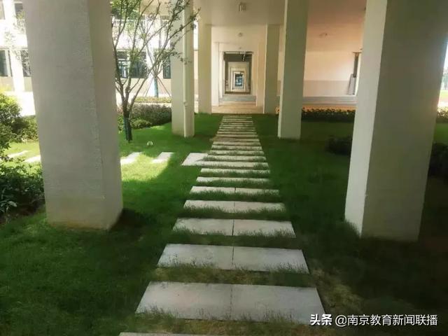 南京最大的小学是哪所，所有老师都是“班主任”