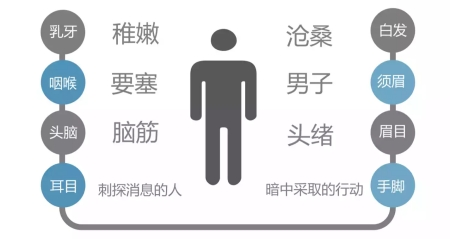 眉目的比喻义是什么意思（类比推理中那些特殊的比喻象征义）