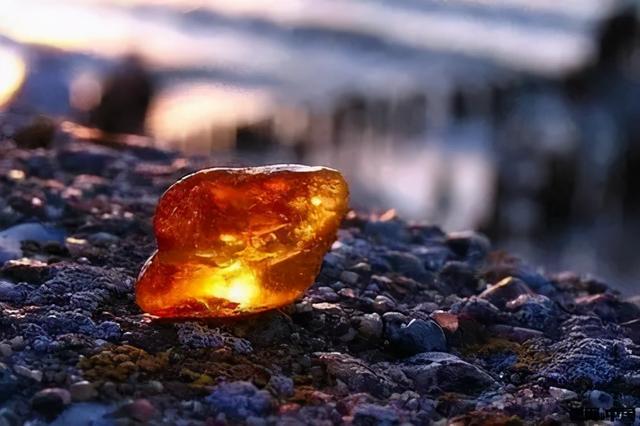 茉莉清茶十二星座，十二星座专属饮料（12星座的女生适合什么样的香水——水瓶座）