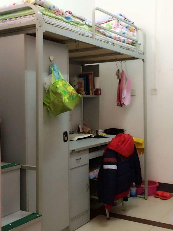哈尔滨工业大学录取分数线，今年哈工大录取分数线是多少（哈尔滨工业大学多少分能上）