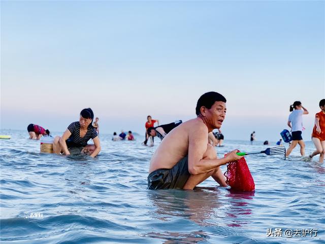 夏天的天空为什么那么蓝.，夏天的天空很蓝（香蕉暴晒一天直接被“烤焦”）