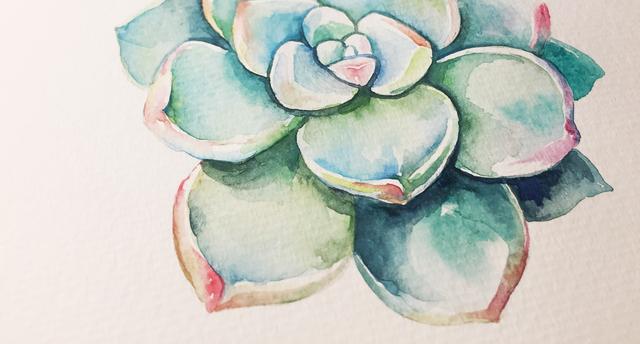 如何画简单的多肉植物，多肉怎样画简单（水彩教你怎么画可爱的多肉）