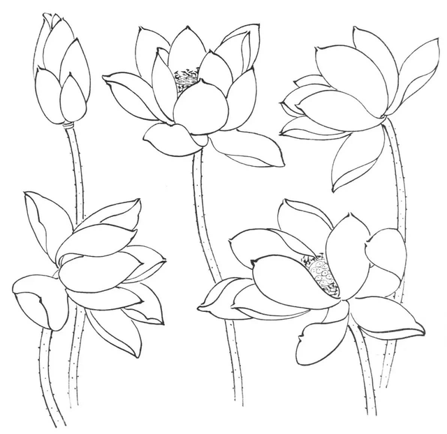 水墨画初学者入门教程，水墨画入门教程（图文教程：画水墨荷花）