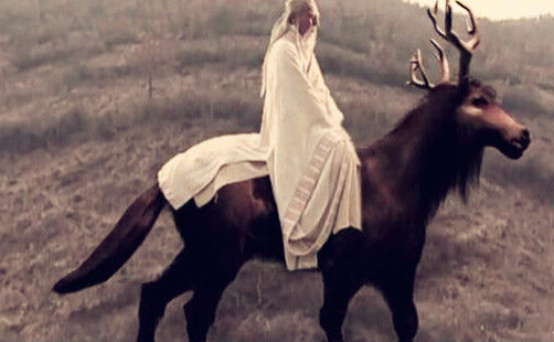 麋鹿寓意，麋鹿寓意着什么意思（头像马、角像鹿、颈像骆驼、尾像驴）