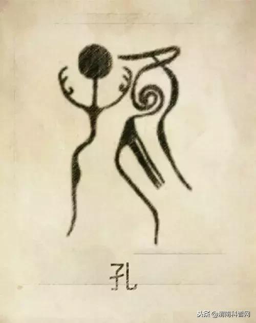 一个草字头一个吕，草字头加吕什么字（中国100大姓氏起源、图腾）