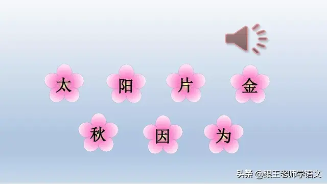 太多的拼音，太多的拼音怎么写的（部编语文一年级下册4、四个太阳+朗读+知识点+图文解读）