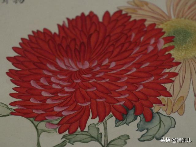 葩的读音（葩怎么读，葩是什么意思（金佛座、搓粉妆、绶带紫、鹤头丹）