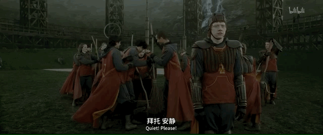 哈利为什么不能娶赫敏，赫敏最后恢复了父母的记忆吗（哈利波特为何没有跟赫敏在一起）