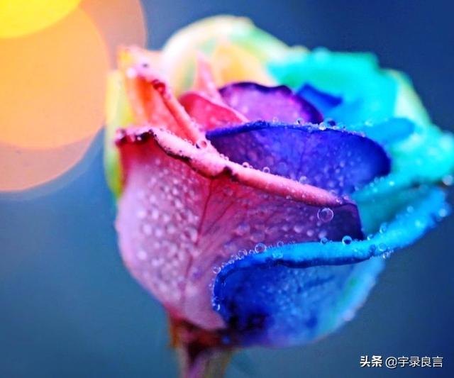 何必作贱自己的说说，说自己是贱人的说说（挤不进的世界不要硬挤）