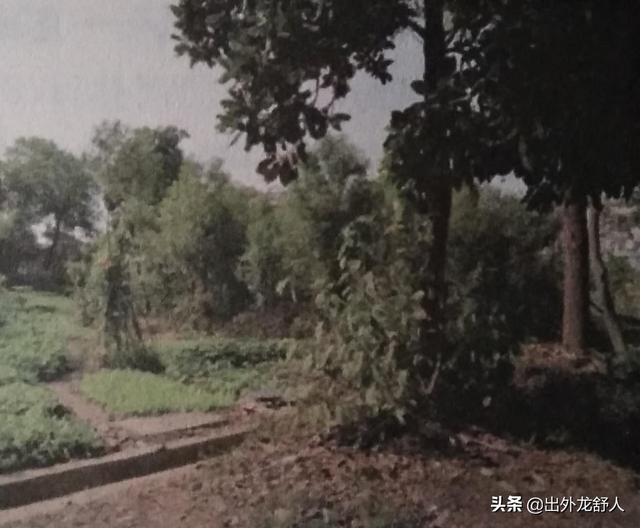 舒城县属于哪个市，舒城旅游景点大全（历史上的“舒州”是今日舒城县吗）