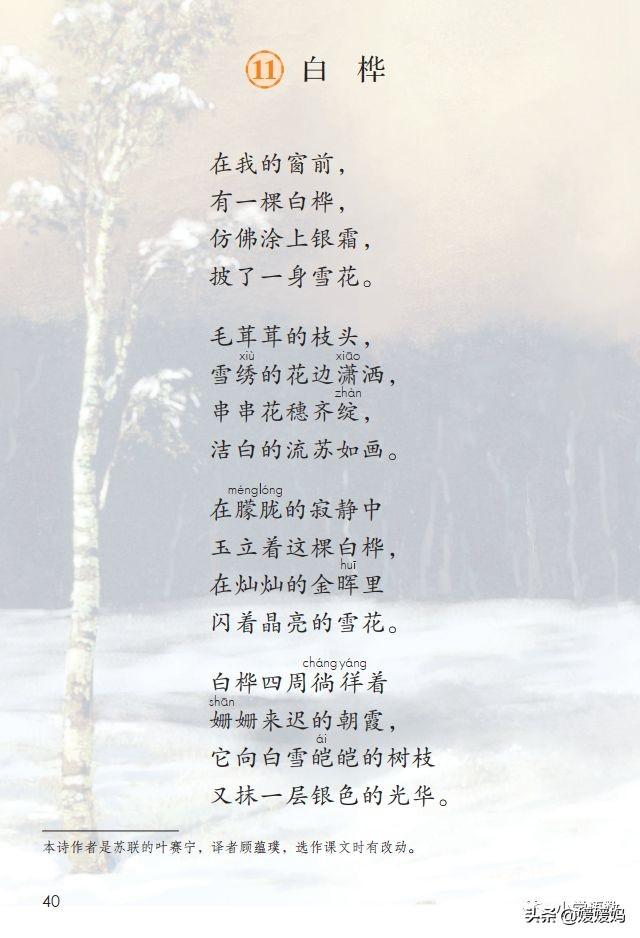 悠扬的近义词，“悠扬”的近义词是什么（四年级下册语文第11课《白桦》图文详解及同步练习）