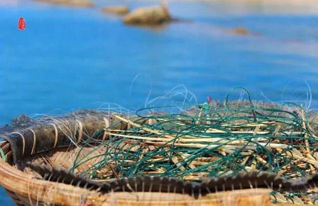 怎样做马步鱼，怎样做马步鱼汤（这种又细又长的鱼名叫“马步鱼”它既是海鱼又是河鱼）