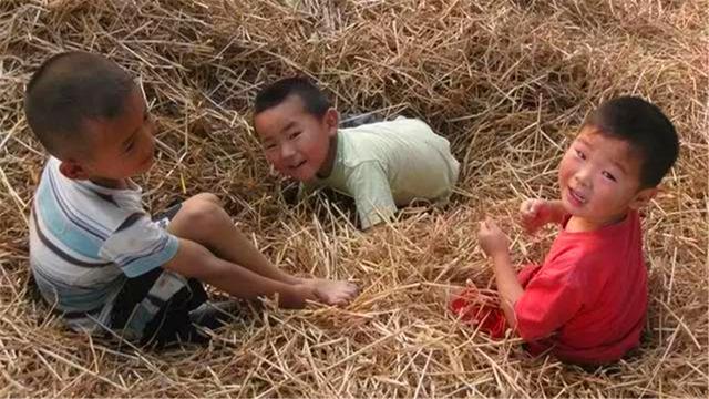 虱子卵长什么样，虱子卵（30年前农村人人都长的虱子）