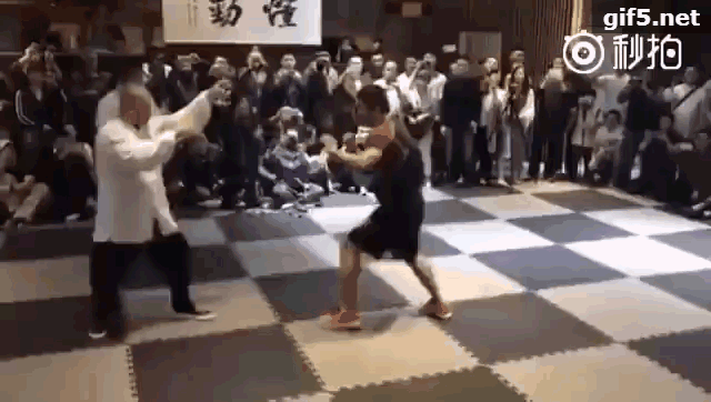 散打和自由搏击哪个更实用，自由搏击和散打哪个杀伤力大（搏击、武术、散打、跆拳道）