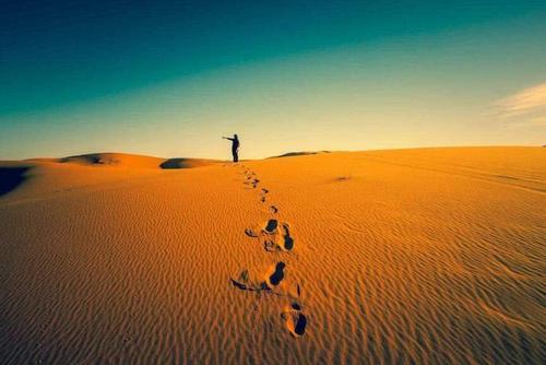 迷字怎么读，迷字组词（《说文解字》第265课）