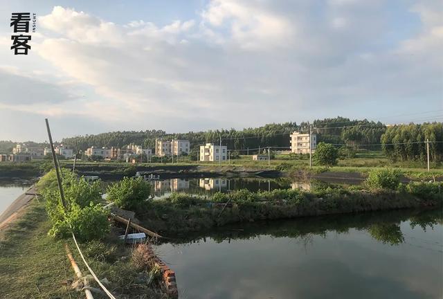 北京现代音乐研修学院是几本，北京现代音乐学院是一本吗（发不出工资的舞团：这帮人）