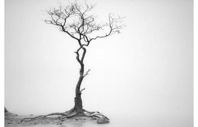 心情不好感觉压抑怎么办，很压抑怎么办（告诉你常用的九种心理发泄的方法。）