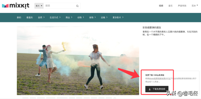 视频搜索网站，全网视频搜索网站（5个高质量免费视频下载网站）