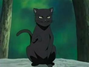 汤姆猫的各种问号，微信头像，汤姆猫的各种问号（动漫界最著名的十只猫）