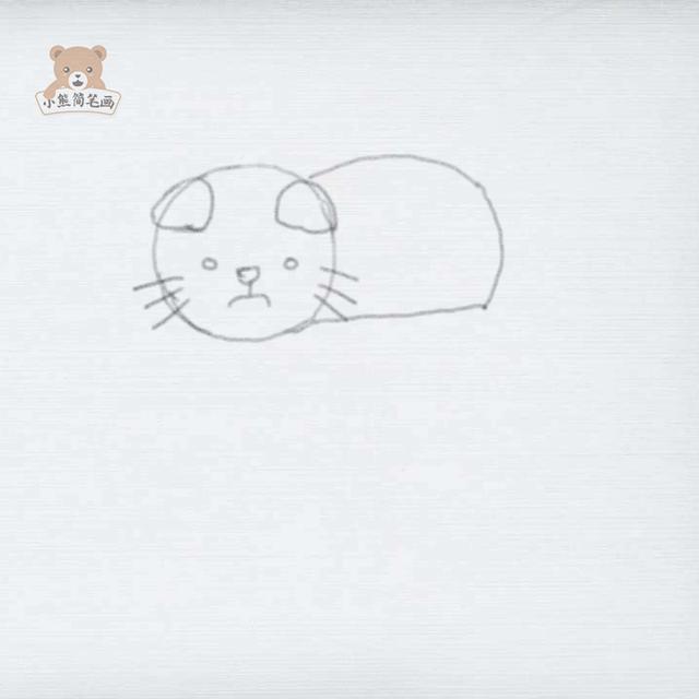 熊的简笔画怎么画，泰迪熊的简笔画怎么画（教你画一只小猫咪<详细步骤>）