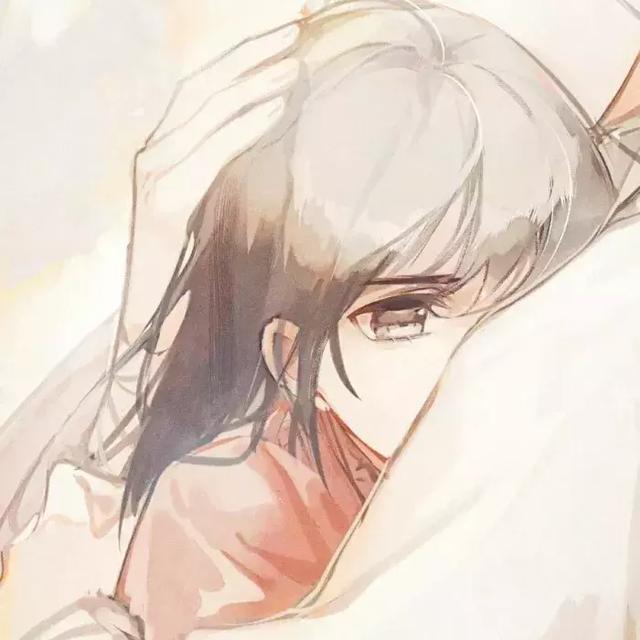 慕辞网名，慕辞（我与春风皆过客）