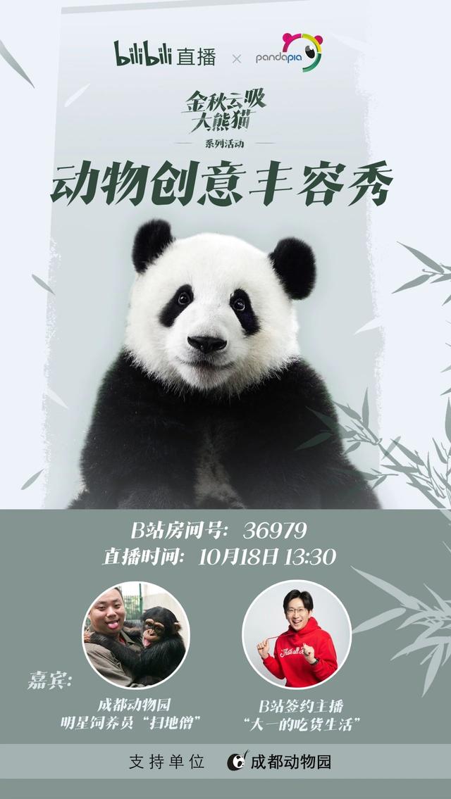 动物园都有什么，北京动物园都有什么（你只看到它们辛勤的玩耍）