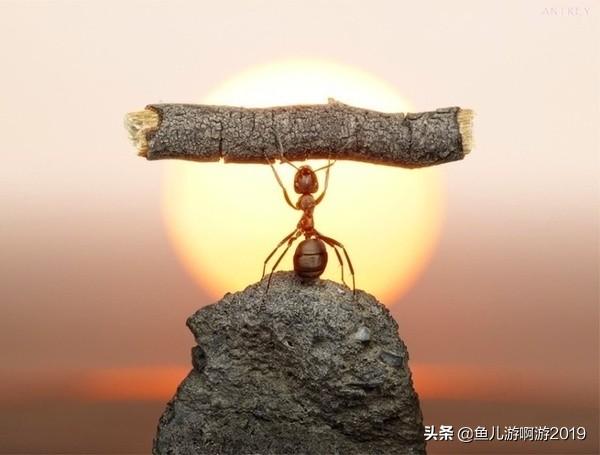 md5效验工具，md5校验（效率办公工具倾情推荐2）