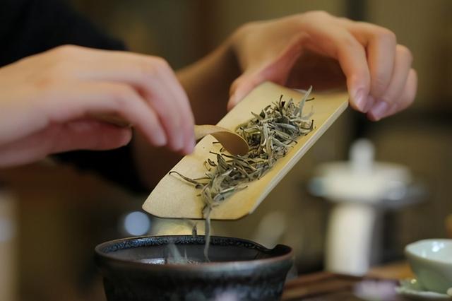 茶道入门茶道基本知识，茶道入门知识（3分钟教你读懂茶道入门知识）