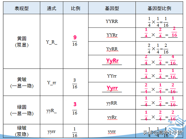 什么是基因的遗传信息，什么是基因的遗传信息传递（<基因、遗传篇>建议收藏）