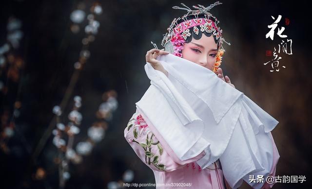 桃花的唯美的诗句，200句桃花诗词