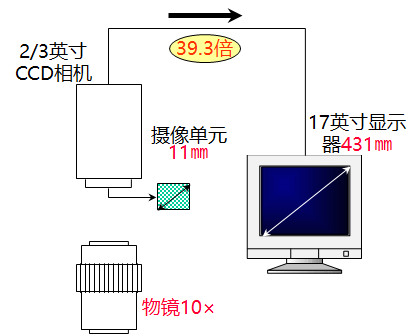 使用显微镜的步骤，显微镜的使用步骤顺序（一次搞懂工业测量显微镜）