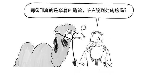 rqfii是指什么，rqfii是指什么意思（QFII和RQFII到底是哪门子意思）