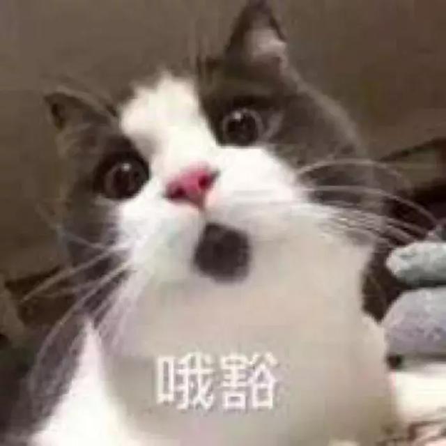 美迪惠尔面膜怎么样，美迪惠尔面膜怎么样知乎（这9款被吹上天的网红面膜）