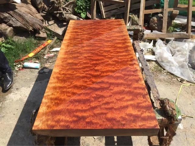 如何存放巴花原木，巴花原木图片（云南小伙8000买89吨非洲丑木）